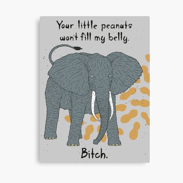 Angry Elephant Canvas Print