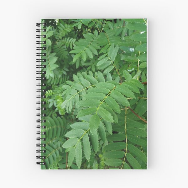 Item preview, Almost Fern designed and sold by Djjin66.
