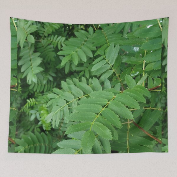Item preview, Almost Fern designed and sold by Djjin66.