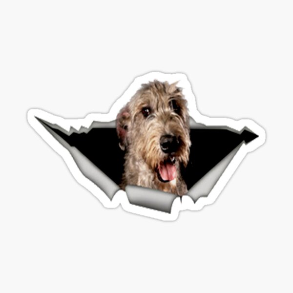 Keychain Irish Wolfhound Exceptional Gift Dog Crystal Keyring