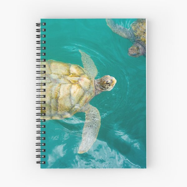 Item preview, Turtle Talk designed and sold by rinphoto.