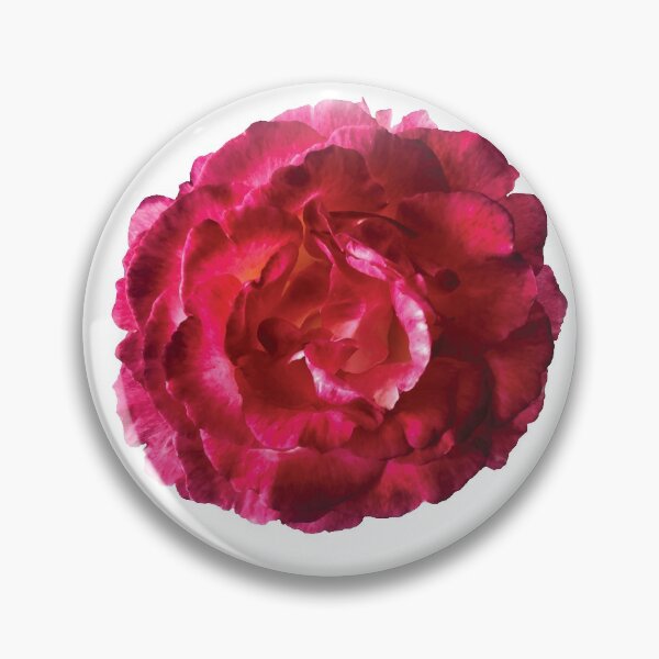Item preview, China Rose in Bloom designed and sold by katemccarty.