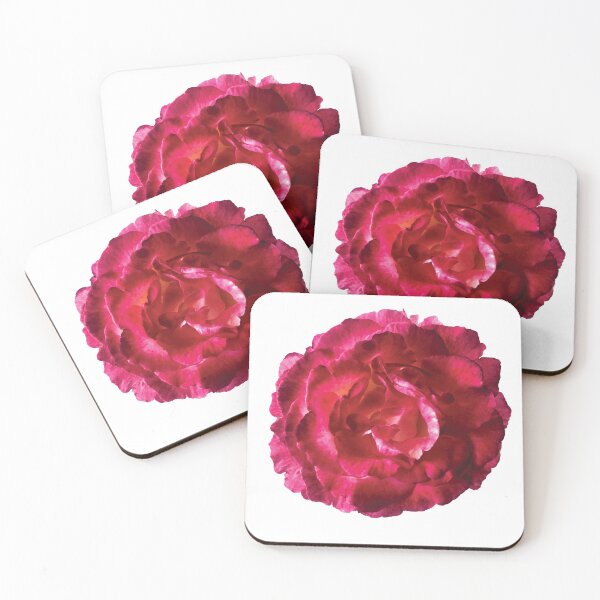 Item preview, China Rose in Bloom designed and sold by katemccarty.