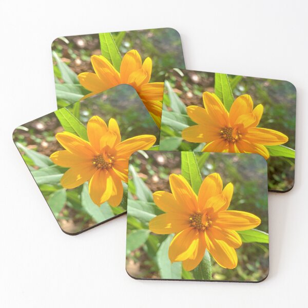 Item preview, Rays of Beauty designed and sold by Roonature.