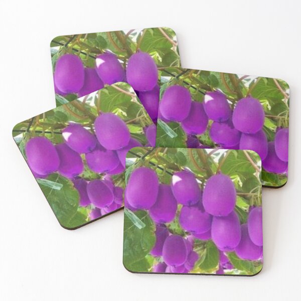 Item preview, Beautiful purple kiwifruit.  designed and sold by Lan thi Nguyen.