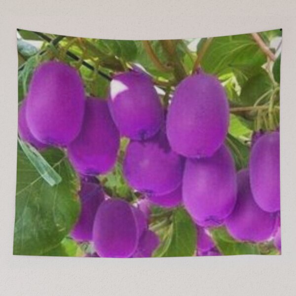 Item preview, Beautiful purple kiwifruit.  designed and sold by Lan thi Nguyen.