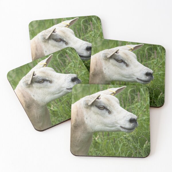 Item preview, Texel Sheep designed and sold by Jane Stanley Photography.
