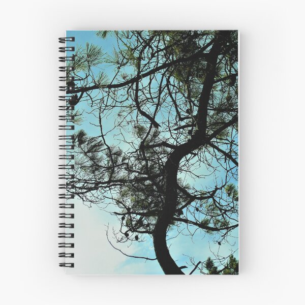 Item preview, Maritime pine designed and sold by ART22.
