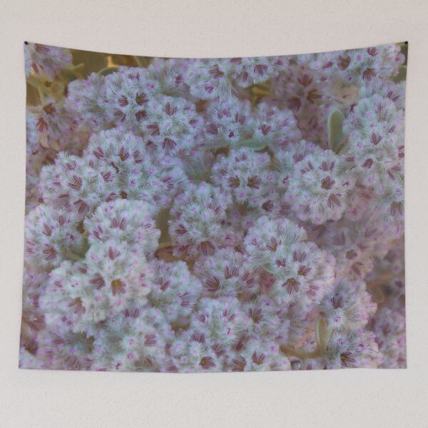 Item preview, White and Pink Australian Wildflowers designed and sold by KaSaPo.
