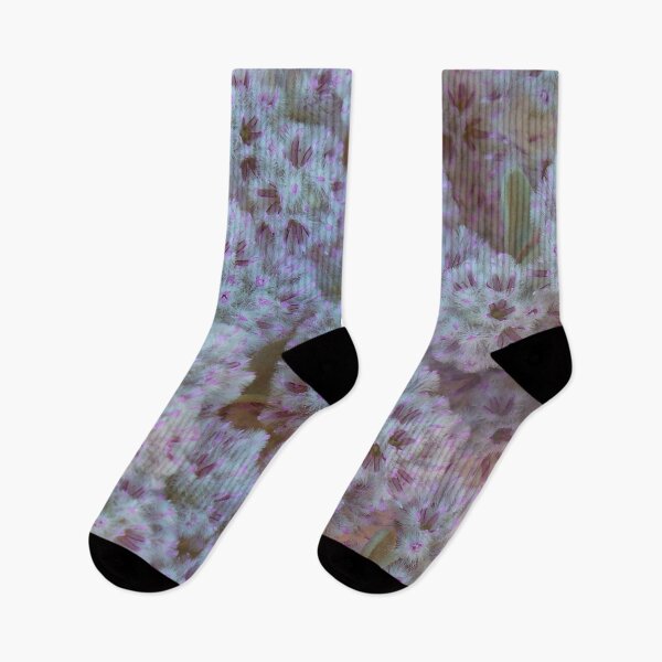 Item preview, White and Pink Australian Wildflowers designed and sold by KaSaPo.