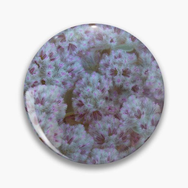Item preview, White and Pink Australian Wildflowers designed and sold by KaSaPo.