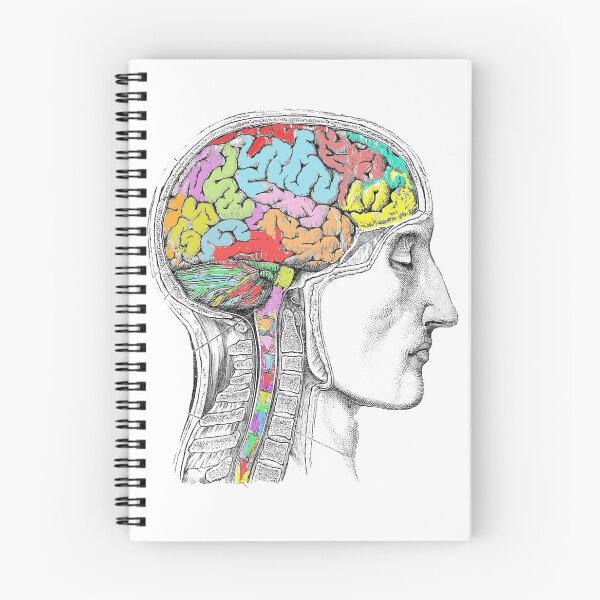 Item preview, Colorful Head, Neck, Brain, Central Nervous System Anatomy Neurosurgery designed and sold by R3AL-D3SIGN.
