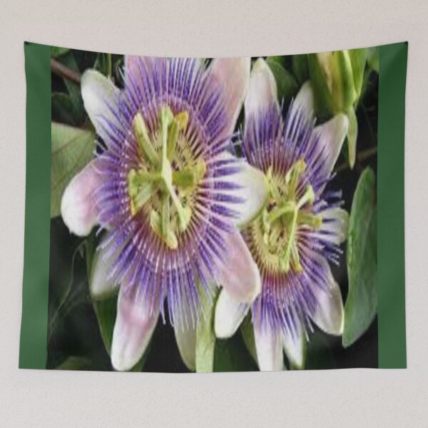 Item preview, purple passion flowers designed and sold by nigejohn.