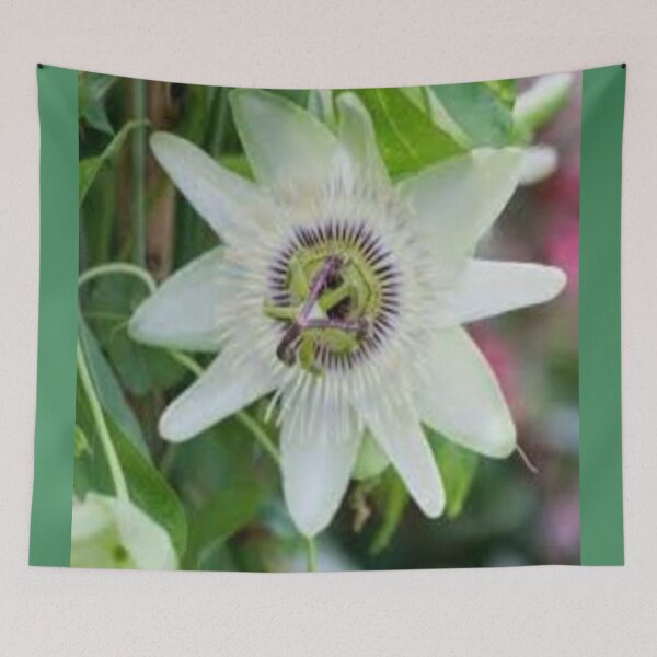 Item preview, white,passion flower designed and sold by nigejohn.