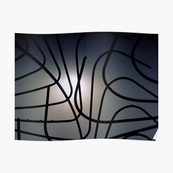 Curvilinear Cagework Poster