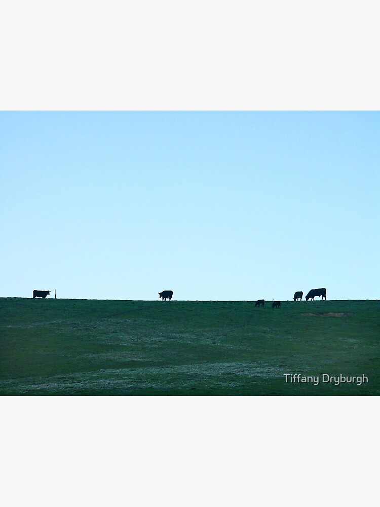 Grazing by Tiffany