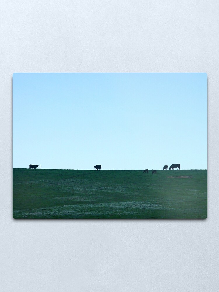 Alternate view of Grazing Metal Print