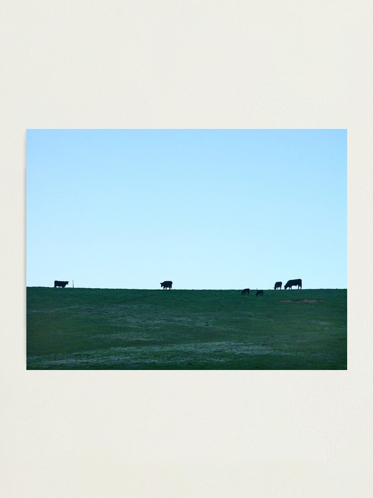 Alternate view of Grazing Photographic Print