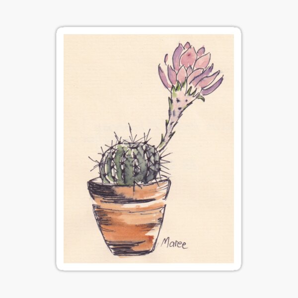 Echinopsis oxygona cactus Sticker