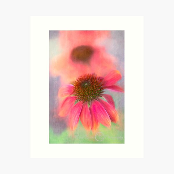 Painterly Coneflower Art Print