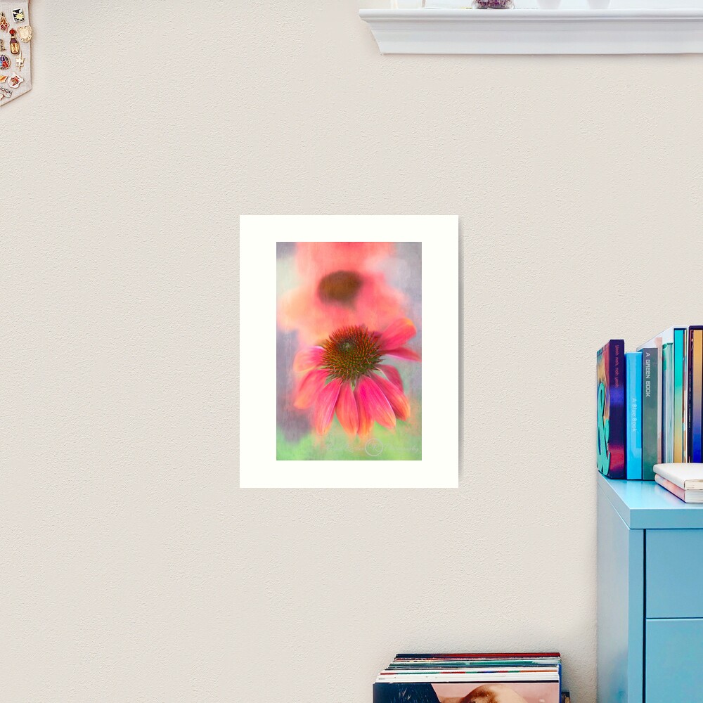 Painterly Coneflower Art Print