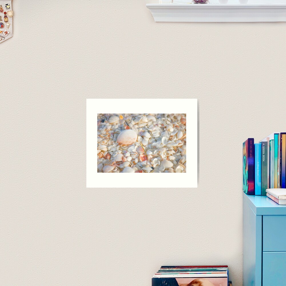 Painterly Seashells Art Print