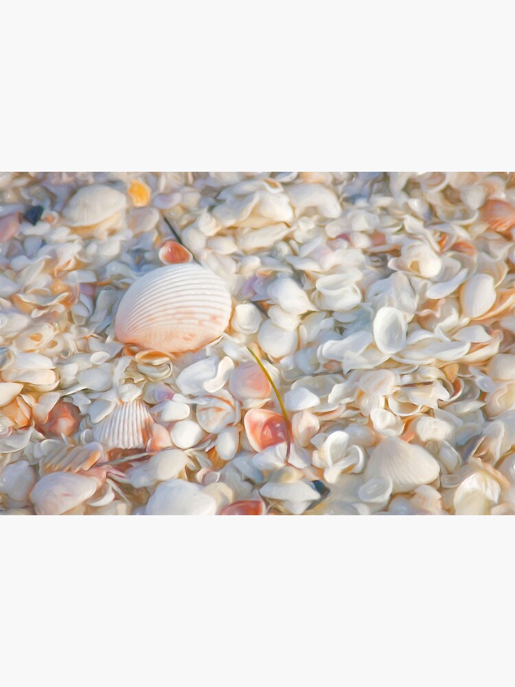 Painterly Seashells by CindiR60