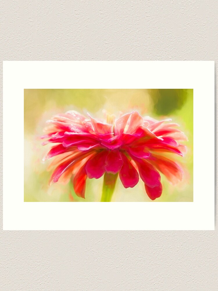 Alternate view of Painterly Zinnia Art Print