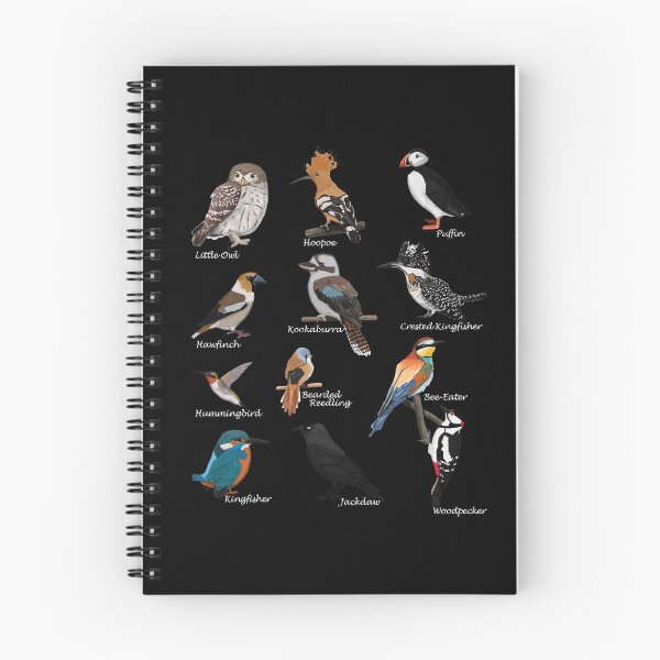 Item preview, Hoopoe Puffin, Kingfisher, Hummingbird Bird Birdlover Birdwatcher Biologist Ornithologist Garden Birds designed and sold by jz-birds.