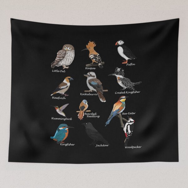 Item preview, Hoopoe Puffin, Kingfisher, Hummingbird Bird Birdlover Birdwatcher Biologist Ornithologist Garden Birds designed and sold by jz-birds.