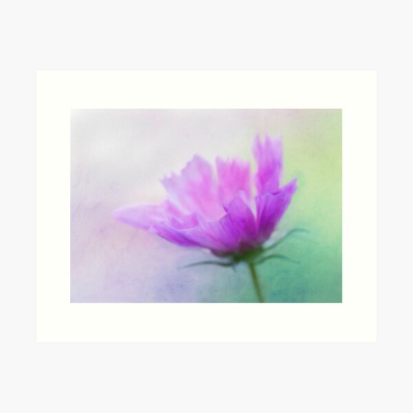 Cosmos Art Print