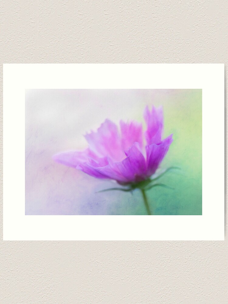 Alternate view of Cosmos Art Print