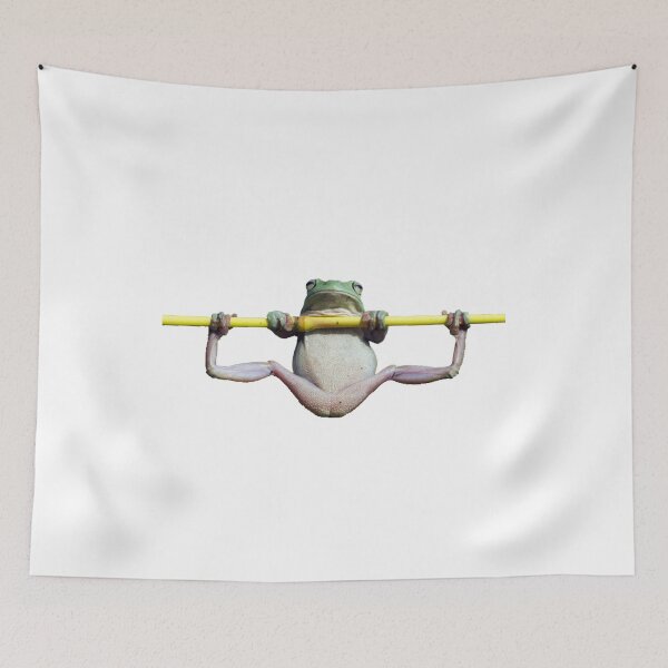 Item preview, ultimate frog guide designed and sold by Sun Rise.