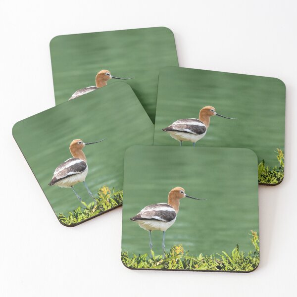 Item preview, American Avocet designed and sold by Jeff Goulden Photography.
