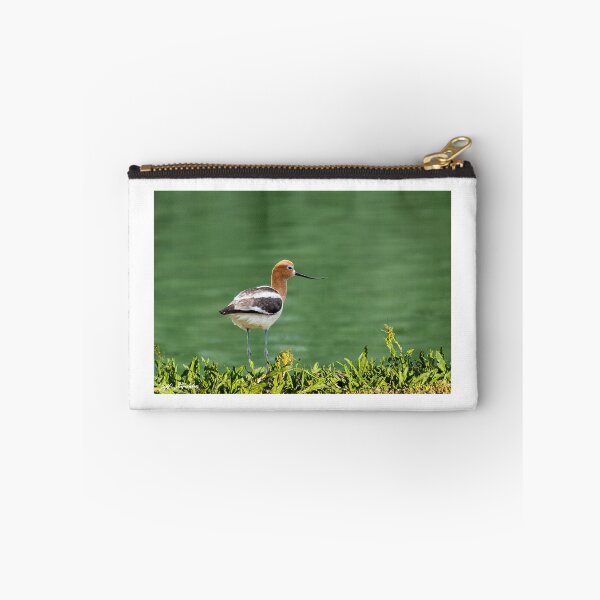 Item preview, American Avocet designed and sold by Jeff Goulden Photography.