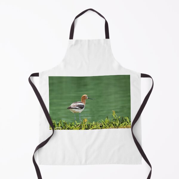 Item preview, American Avocet designed and sold by Jeff Goulden Photography.