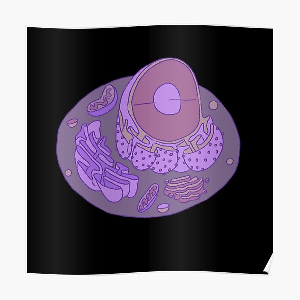 Animal Cell Posters Redbubble