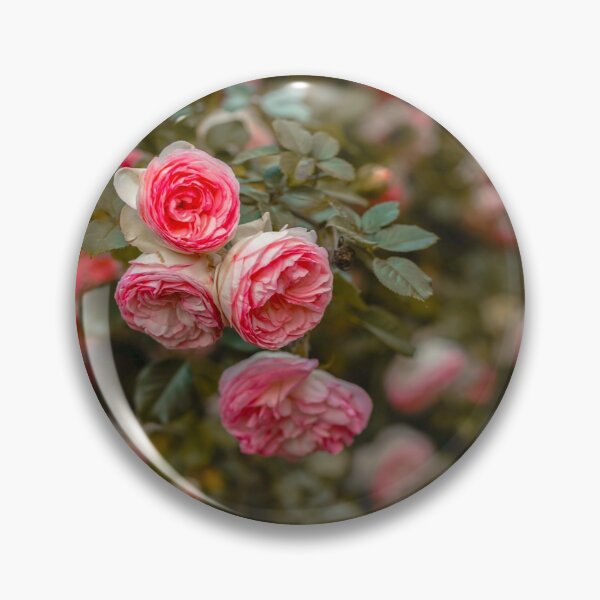Item preview, Pink nature carnation pink white flower bloom poster  designed and sold by JD369.