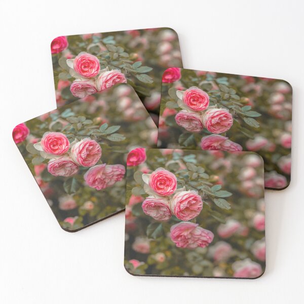 Item preview, Pink nature carnation pink white flower bloom poster  designed and sold by JD369.