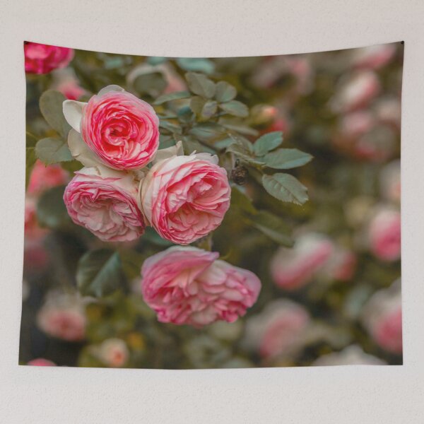 Item preview, Pink nature carnation pink white flower bloom poster  designed and sold by JD369.