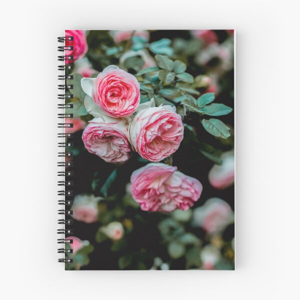 Item preview, Carnation bloom poster  designed and sold by JD369.