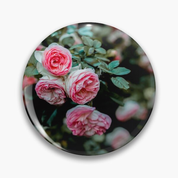 Item preview, Carnation bloom poster  designed and sold by JD369.