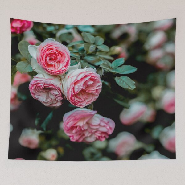 Item preview, Carnation bloom poster  designed and sold by JD369.