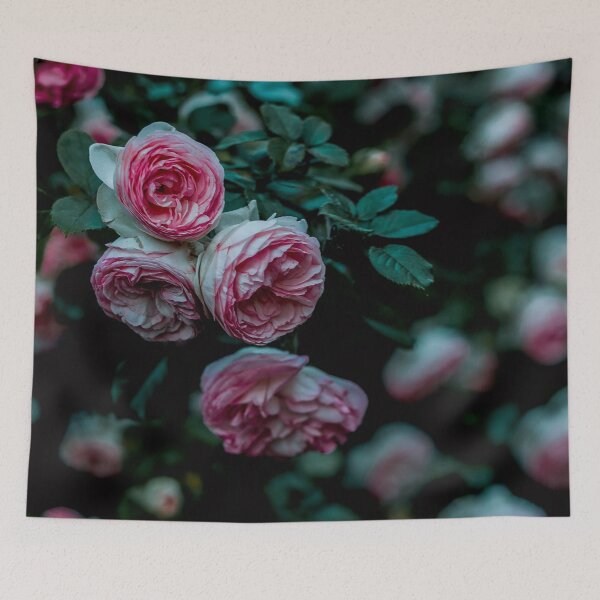 Item preview, Cold cool carnation bloom poster  designed and sold by JD369.