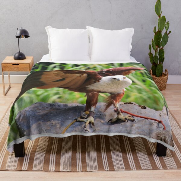 Item preview, Brahminy kite bird designed and sold by FranWest.