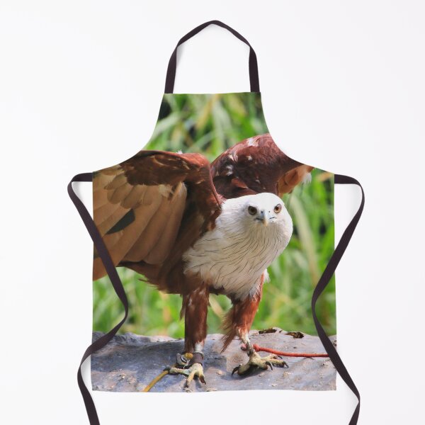 Item preview, Brahminy kite bird designed and sold by FranWest.
