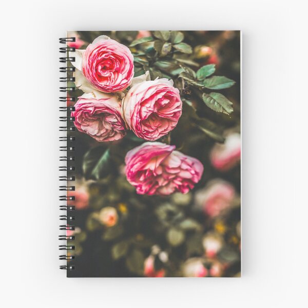 Item preview, Carnation bloom poster  designed and sold by JD369.