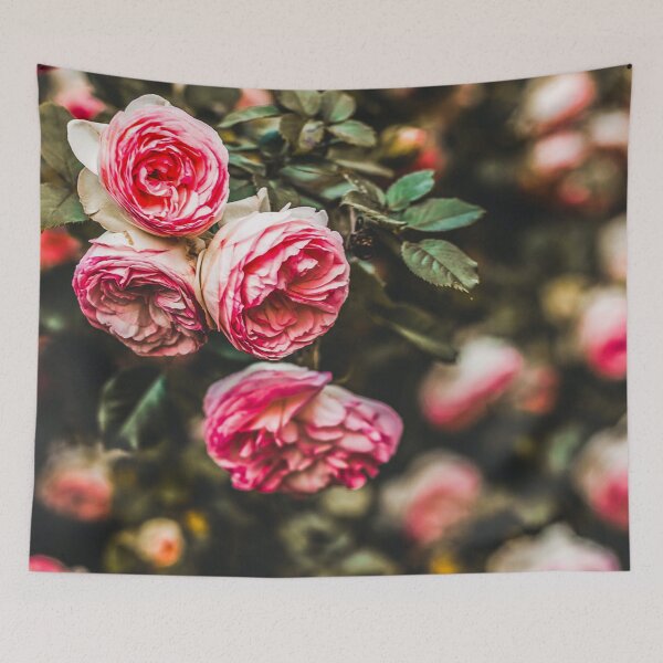 Item preview, Carnation bloom poster  designed and sold by JD369.