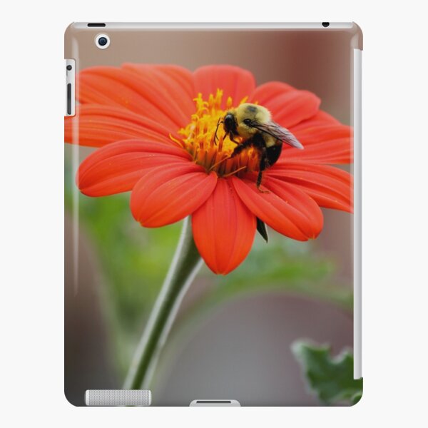 iPad Retina/3/2 - Snap
