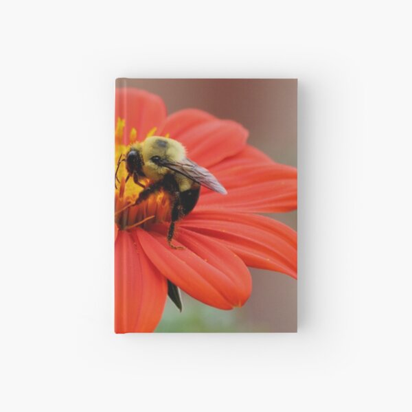 Hardcover Journal